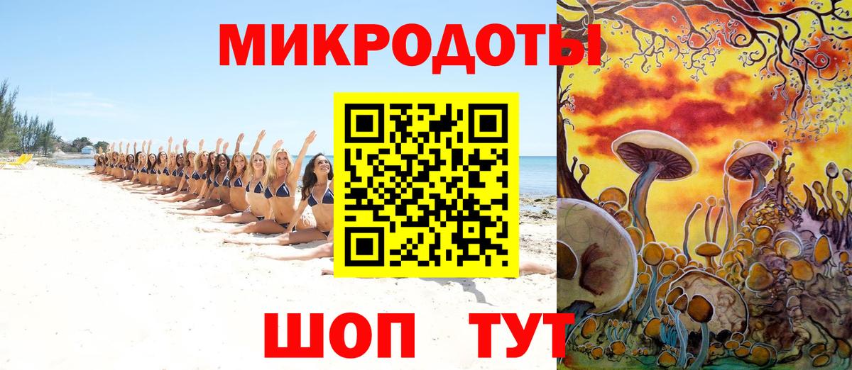 Галлюциногенные грибы Psilocybine cubensis Таганрог